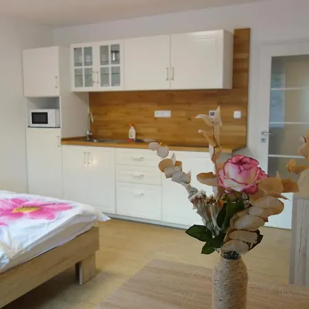 Pod Solanem Apartment *