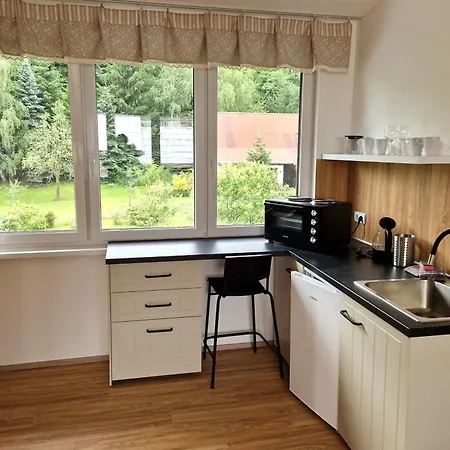 Pod Solanem Apartment