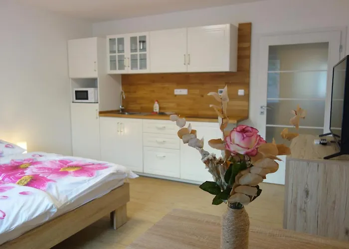 Pod Solanem Appartement *